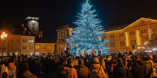 Rozsv\u00edcen\u00ed v\u00e1no\u010dn\u00edho stromu v Ji\u010d\u00edn\u011b