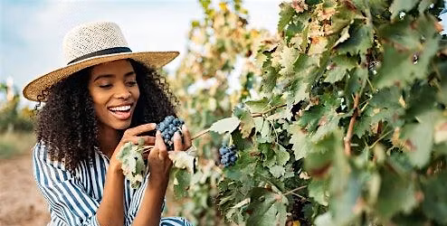 Sips & Sunshine: A Bougie Day in Wine Country