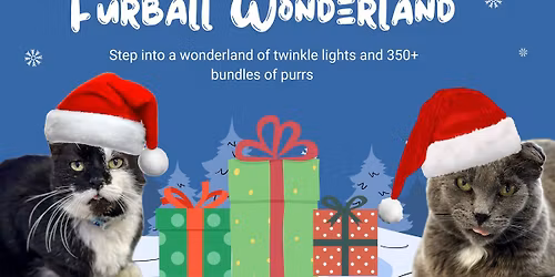 Walking in a Furball Wonderland \ud83d\udc3e\ud83c\udf84