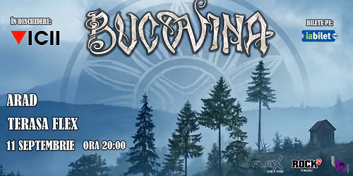 BUCOVINA și VICII live @Terasa Flex Arad