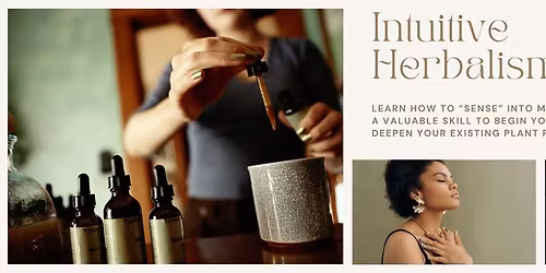 Intuitive Herbalism: Mugwort & the Wisdom of the Crone