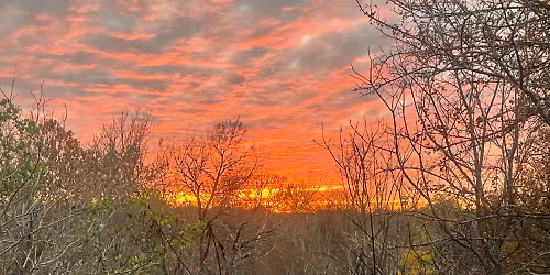 WeWiN Full Moon Circle: The Practice of Slowing Down