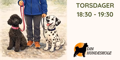 Grunnkurs Revetal Torsdager