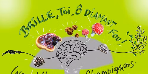 Brille, toi \u00d4 diamant fou ! Conf\u00e9rence (neuro)Atypies & Champignons m\u00e9decine