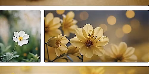 Petals & Purpose: Closing The Year In Bloom