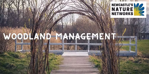 Woodland Management Volunteer Session