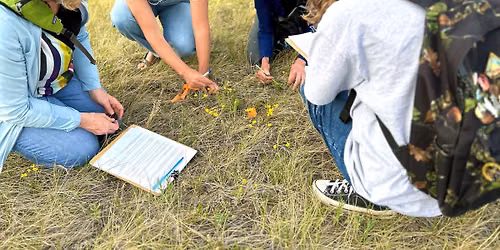 Intermediate Coulee Plant ID Workshop