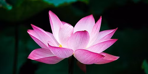 Soulful Simplicity: Decluttering Your Life for Inner Clarity
