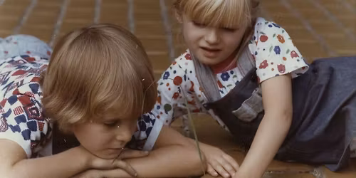 JANIKOVSZKY 100  \u00c9GIG \u00c9R\u0150 F\u0170 - CSAL\u00c1DI D\u00c9LEL\u0150TT