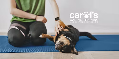 Basic Manners & More