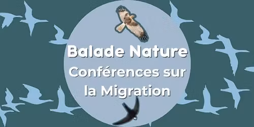 \ud83d\udc26\ud83c\udfa4 Conf\u00e9rence \u2013 Le Grand Voyage de la Migration \ud83c\udfa4\ud83d\udc26