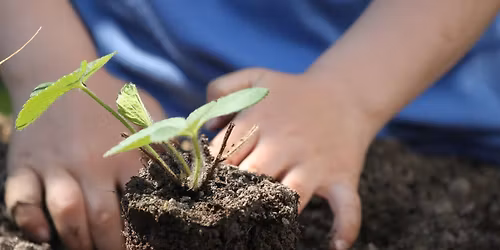 Bruisende tuinmarkt 2026