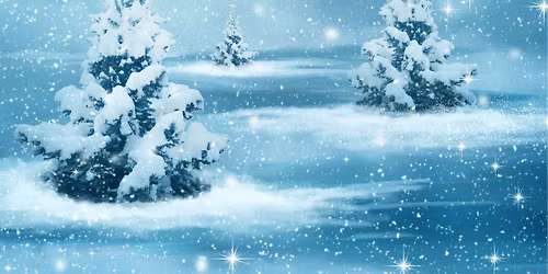 Den store julekonserten