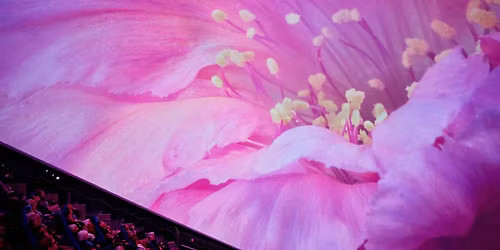 QUALIA: An immersive Experience of Beauty, Awe, and Wonder \/ OAKLAND