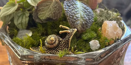 Happy Hour Horticulture - Terrarium Class w\/Ali