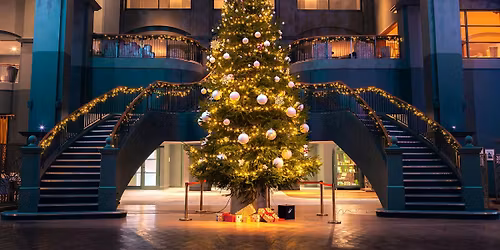 Christmas Light Switch On at Fairmont St Andrews