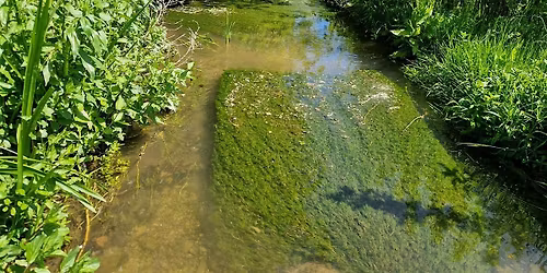 Lincolnshire's Chalk Streams talk with Will Bartle