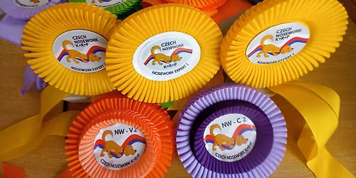 NOSEWORK ZKOU\u0160KY