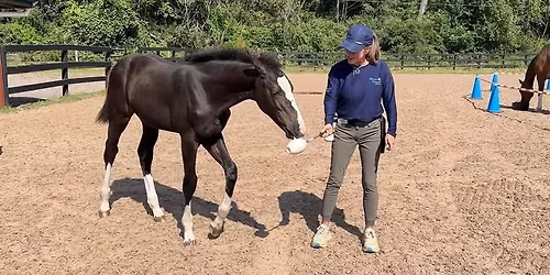 Shawna Karrasch clinic