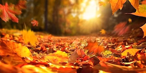 Fall Equinox Gathering at the Seeker's Library