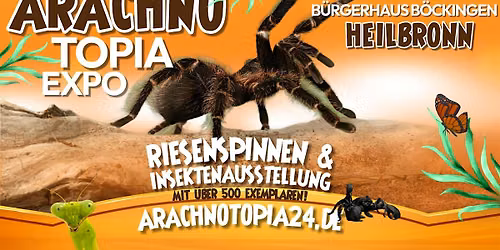 Riesenspinnen & Insektenausstellung - Heilbronn Bürgerhaus Böckingen