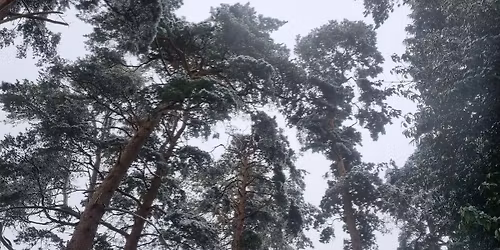 2 Jan New Year Winter Family Afternoon