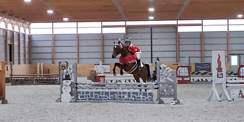 Christmas Horse Show 