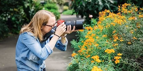 Abstract Photography