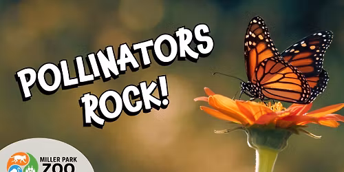 Pollinators Rock!