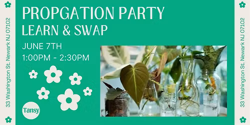 Propagation Party
