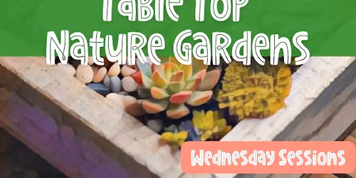 Table Top Nature Gardens for Kids