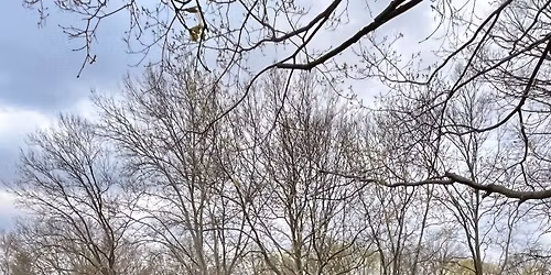 In Your Element's Annual Earth Day Clean-up!