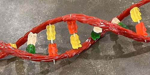Saturday DNA! NYC - Sweet Genes