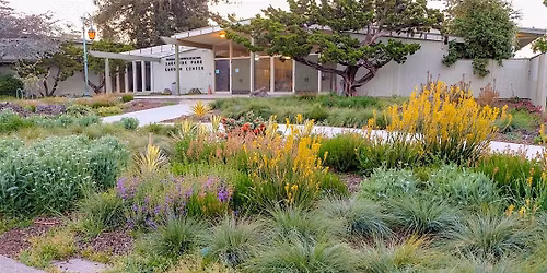 The 2025 Bay Area Designer Plant Fair