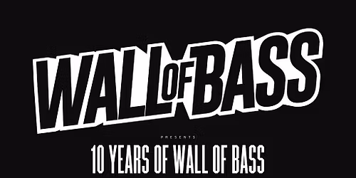 10 Years of Wall of Bass | The Underground
