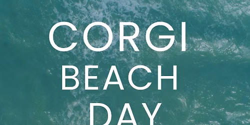 Corgi Beach Day NWFL