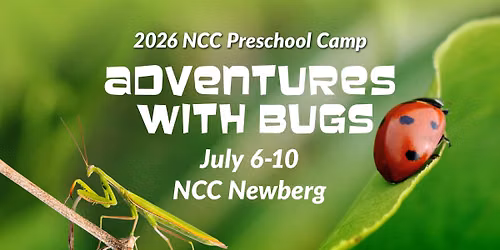 Preschool Camp - "Adventures with Bugs"