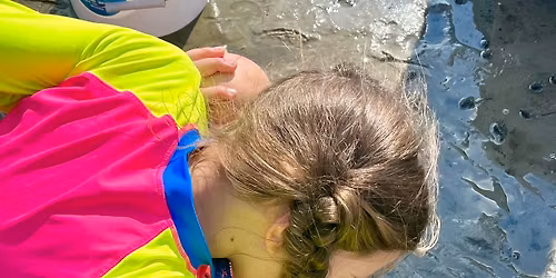  Funky Fins Family Wild Wetlands Expedition