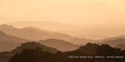 Waikato Photographic Society \u2013 Caf\u00e9 Critique Night
