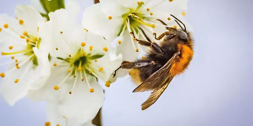 College Open Day Saturday 13th June 2026