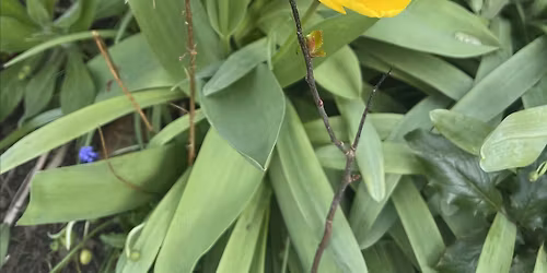 Soulful Sundays, Mindfulness Relaxation