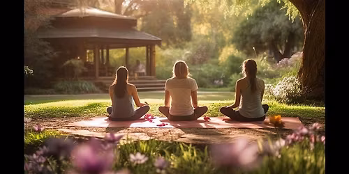Afternoon Yoga in The Park