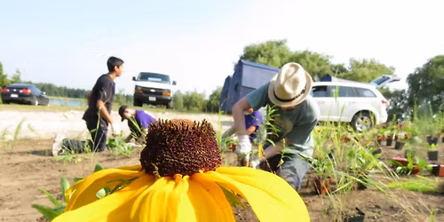 Rain Garden Maintenance
