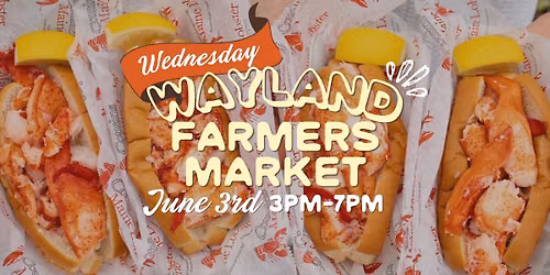 Wayland Farmers Market | Weds. June 3rd