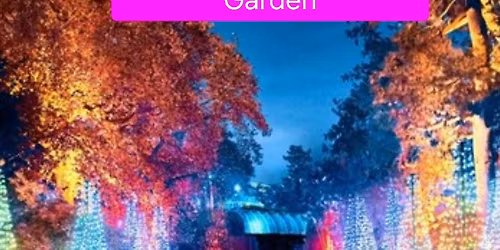 Christmas at Kew Gardens