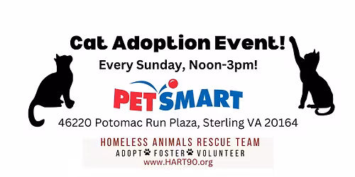 Cat Adoption Event every Sunday!