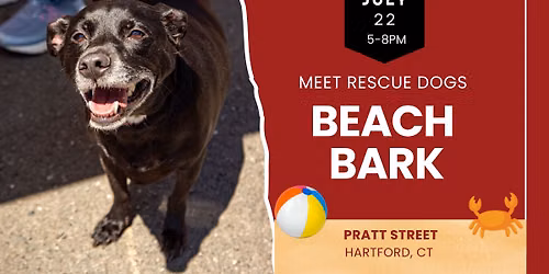 Beach Bark: Meet Rescue Dogs in Hartford