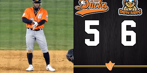 Long Island Ducks at Charleston Dirty Birds at GoMart Ballpark