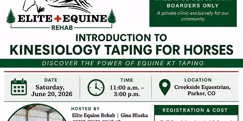 Equine KT Taping Clinic 