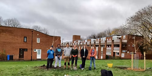 Tree Planting in Hillsborough Park